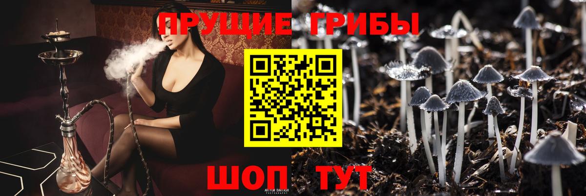 Заинск  Псилоцибиновые грибы ЛСД  магазин продажи   Вход с VPN 