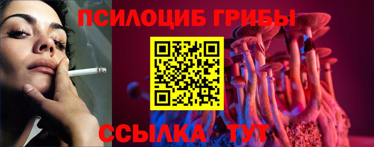 Галлюциногенные грибы Psilocybe Заинск