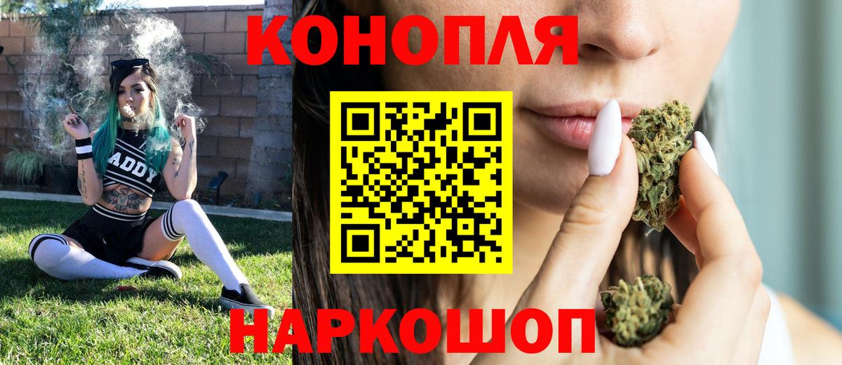 Каннабис сатива Заинск